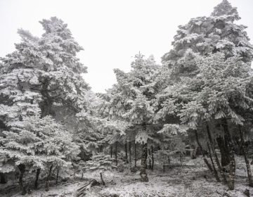 Καιρός: Άνοδος της θερμοκρασίας με παροδικές νεφώσεις και ασθενείς χιονοπτώσεις