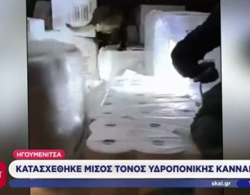 Κατασχέθηκαν πάνω από 500 κιλά κάνναβης στο λιμάνι της Ηγουμενίτσας – Συνελήφθη ένας 50χρονος
