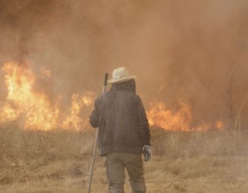 Τραγωδία στην Ισπανία: Στους 14 ανέβηκε ο αριθμός των νεκρών από την φωτιά στην Ανδαλουσία