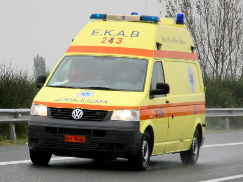 Δύο πίτ μπουλ βγήκαν από την αυλή του σπιτιού και τη δάγκωσαν