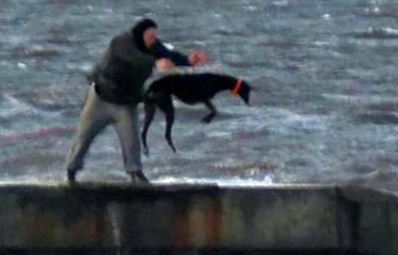 Άντρας πετά στα παγωμένα νερά θάλασσας τον σκύλο του