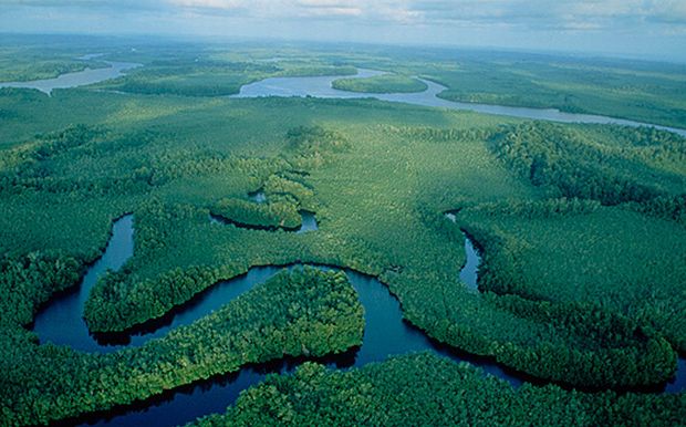 Αφρικανικές χώρες και χορηγοί προστατεύουν τα τροπικά δάση του Κονγκό – News.gr