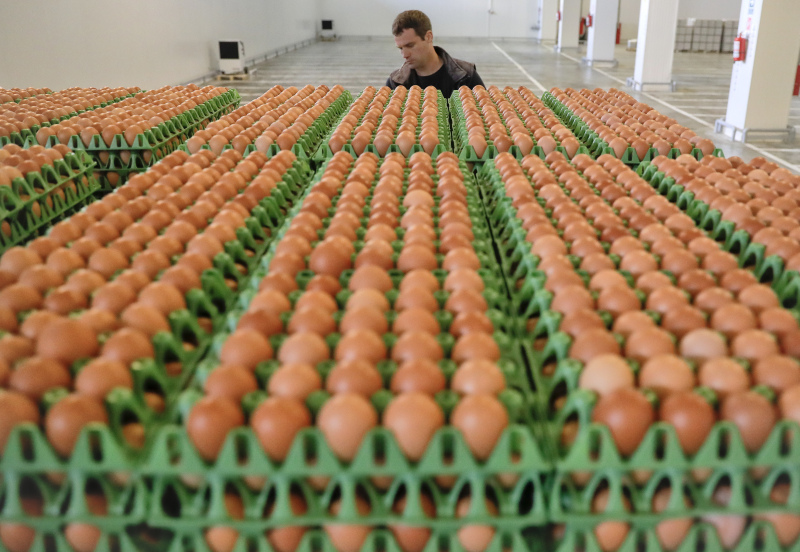 Έφτασαν και στην Ισπανία τα μολυσμένα με εντομοκτόνο αυγά