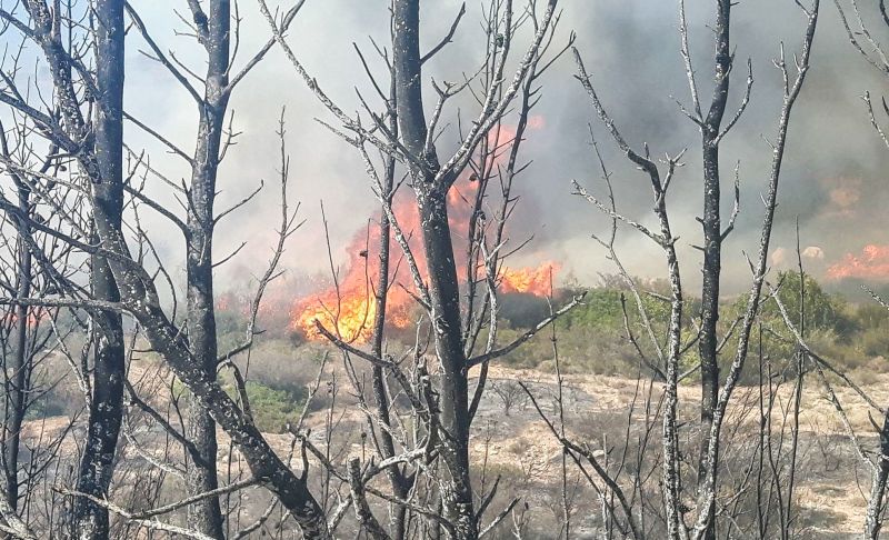 Ανεξέλεγκτες οι μεγάλες φωτιές σε Ανάβυσσο και Σπέτσες