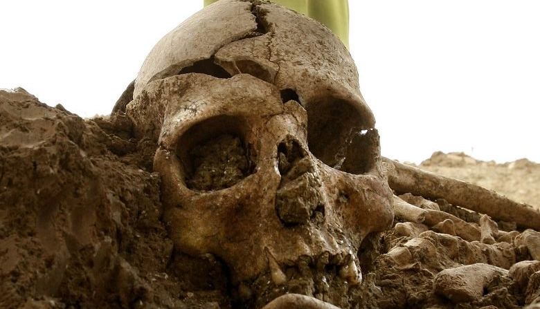 Ποιος ήταν ο σκελετός του σακ βουαγιάζ στο Σούνιο