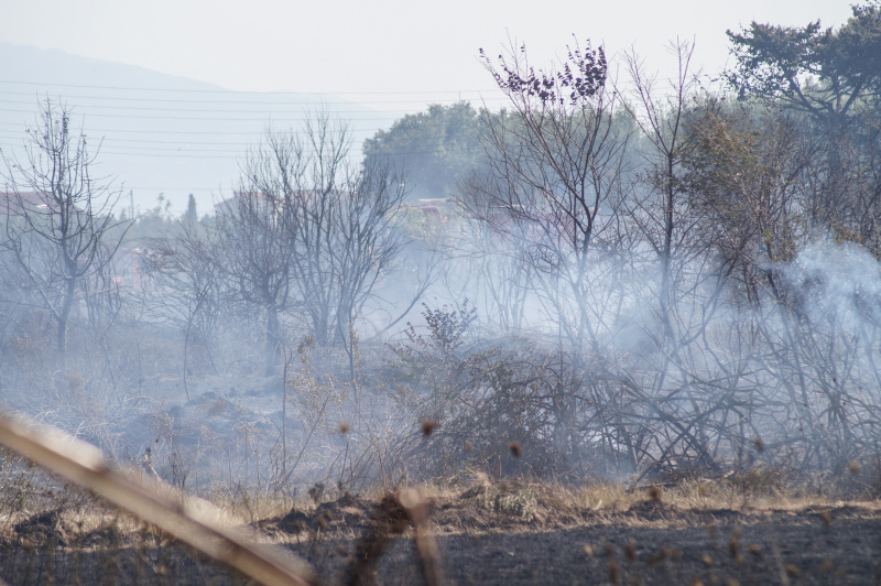 Μαίνονται οι φωτιές κοντά σε ελληνικά χωριά της Αλβανίας – «Βλέπουν» εμπρησμό