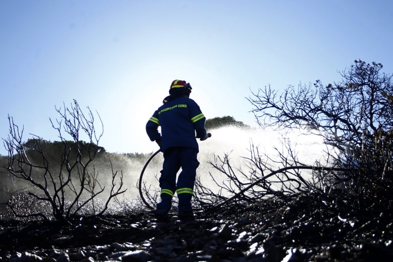 Πυρκαγιά κατακαίει από χθες δασική έκταση στη Ζάκυνθο