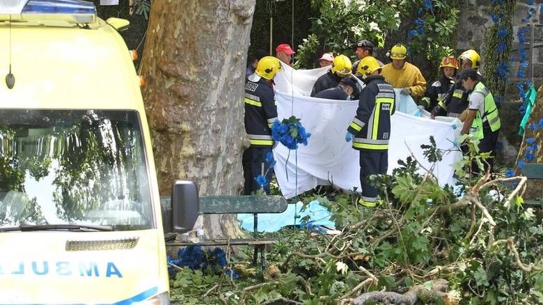 Τραγωδία σε προσκύνημα: Δέντρο καταπλάκωσε και σκότωσε τους πιστούς