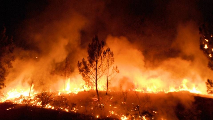 Τριήμερο πένθος στην Πορτογαλία: Εφιαλτική πυρκαγιά με 62 νεκρούς