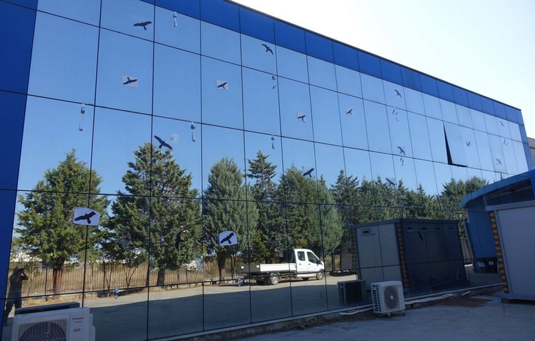 Αρπακτικά σε κτίριο της Θεσσαλονίκης για να διώχνουν τα πουλιά
