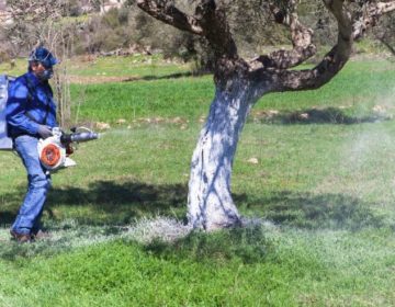 Νόμιμη για άλλη μια πενταετία η χρήση της αμφιλεγόμενης γλυφοσάτης