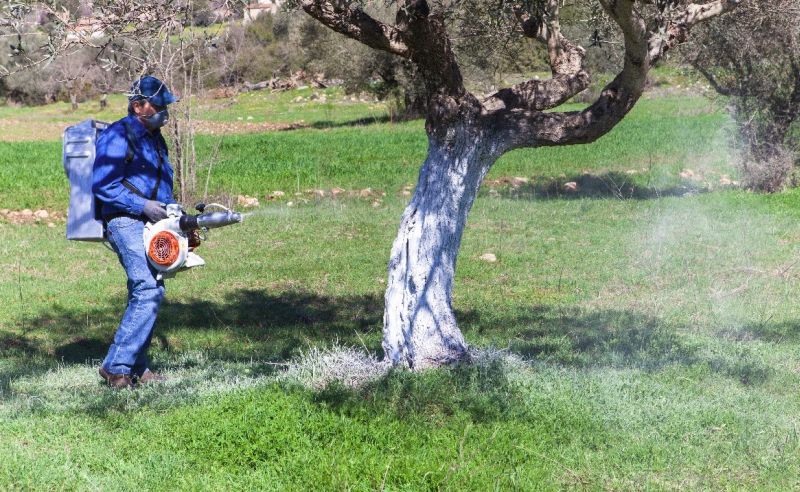 Νόμιμη για άλλη μια πενταετία η χρήση της αμφιλεγόμενης γλυφοσάτης