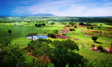 Ταξιδεύοντας στηv Τανζανία! Όλα όσα θα πρέπει να ξέρετε