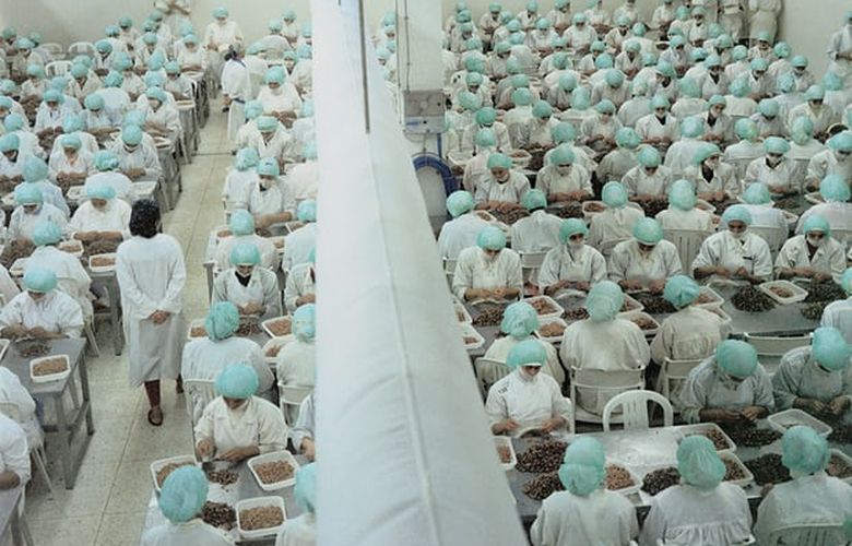 Το απάνθρωπο εργοστάσιο γαρίδας όπου οι γυναίκες δεν μπορούν να μιλήσουν
