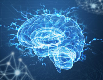 Ερευνητές του Χάρβαρντ και της Google δημιούργησαν τη μεγαλύτερη τρισδιάστατη ανακατασκευή τμήματος εγκεφάλου