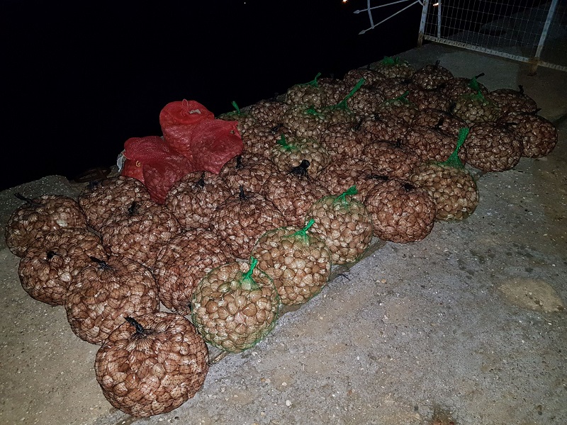 Κατάσχεση 782 κιλών οστράκων για παράνομη διακίνηση