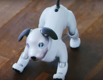 Υιοθετήθηκε ο νέος σκύλος ρομπότ Άιμπο