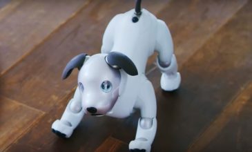 Υιοθετήθηκε ο νέος σκύλος ρομπότ Άιμπο