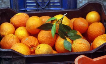 Δεσμεύθηκαν πάνω από 2 τόνοι πορτοκάλια σε επιχείρηση στον Πειραιά
