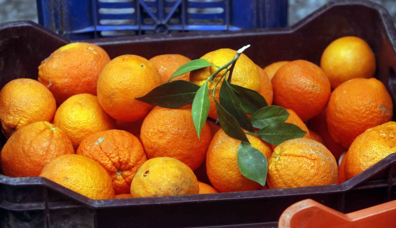 Κατασχέθηκαν τρεις τόνοι ακατάλληλα πορτοκάλια και μανταρίνια