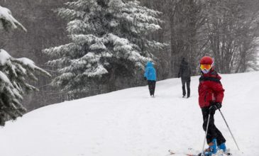 Γεωργιάδης για χιονοδρομικά: Πιθανό να εξεταστεί και το άνοιγμα των σαλέ