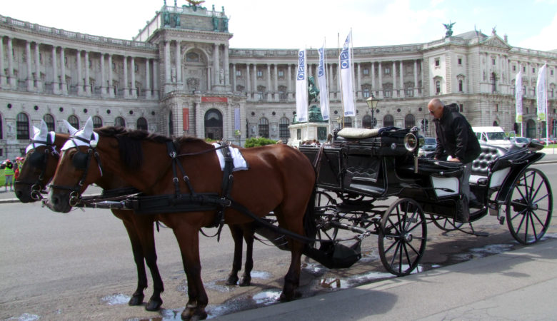 Βιέννη: Οι παραδοσιακές άμαξες με άλογα απειλούνται από τη ζέστη και το κυκλοφοριακό