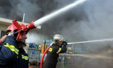 Φωτιά σε εργοστάσιο στα Οινόφυτα
