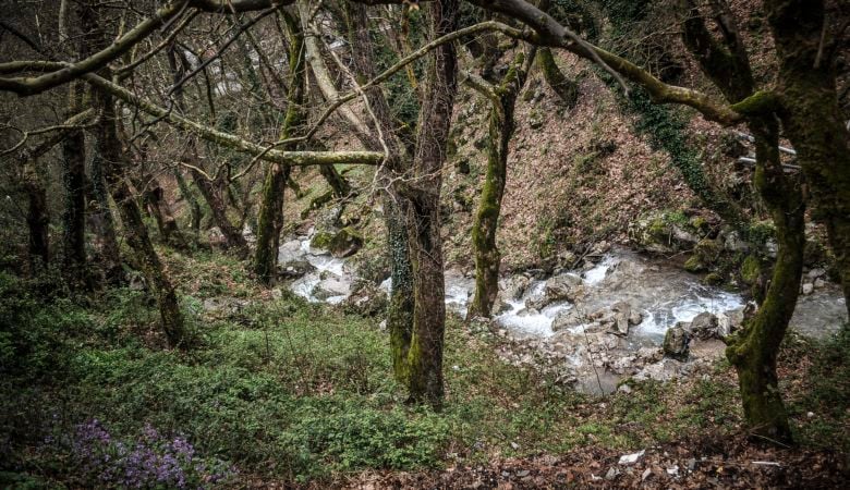 Αίσιο τέλος για τον 10χρονο που εξαφανίστηκε στα Καλάβρυτα