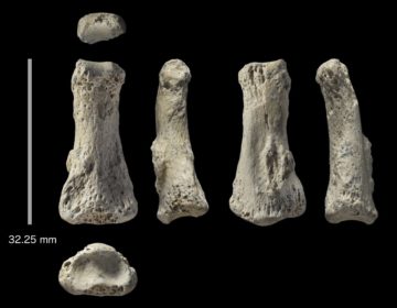 Ανακαλύφθηκε απολίθωμα του Homo sapiens ηλικίας 90.000 ετών