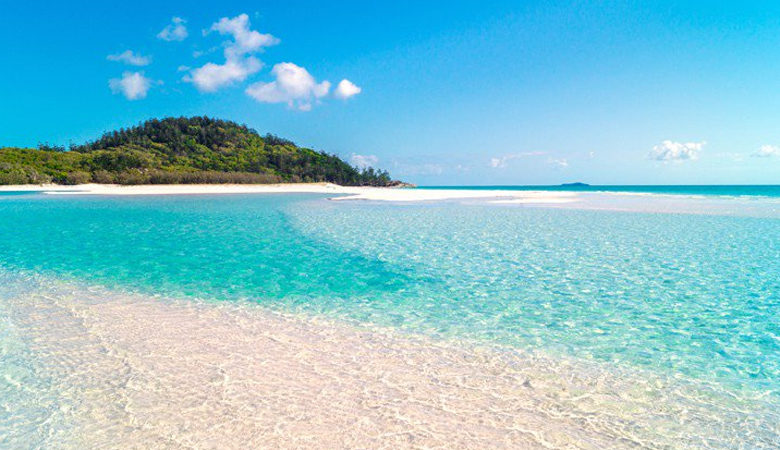 Συναγερμός στην Αυστραλία: Δύο συλλήψεις για πυροβολισμούς στην πολυσύχναστη παραλία Μπόνταϊ του Σίδνεϊ – Πολλοί τραυματίες