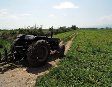 Ο ΕΛΓΑ πλήρωσε 3,5 εκατ. ευρώ σε 1.637 δικαιούχους