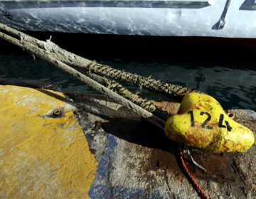 Σε 48ωρη απεργία στα πλοία της Αδριατικής προχωρά η ΠΝΟ