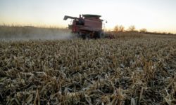 Αγρότες: Ποιοι κερδίζουν φέτος έκπτωση φόρου έως 2.100 ευρώ