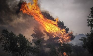 Υπό μερικό έλεγχο η πυρκαγιά στην Ηλεία