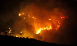 Σε εξέλιξη η πυρκαγιά στην Ηλεία – Εκκενώθηκαν σπίτια