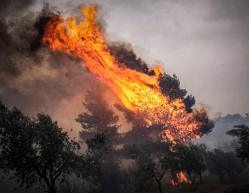 Καίγονται τα Γεράνεια Όρη, πάνω από την Κινέτα