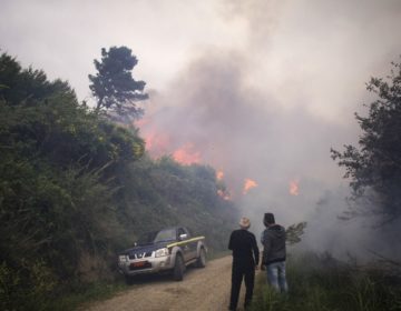 Μεγάλη πυρκαγιά σε εξέλιξη στην Ηλεία