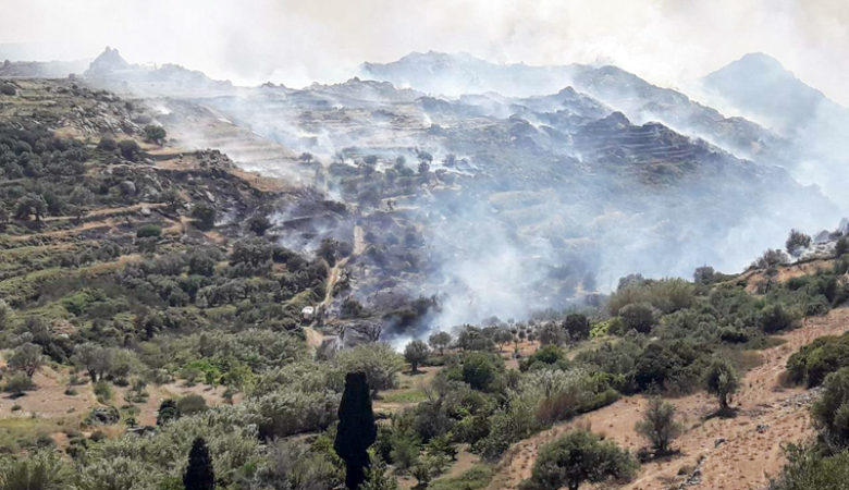 Πυρκαγιά καίει καλλιέργειες και δένδρα στη Νάξο