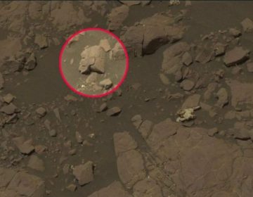 Tο κεφάλι αρχαίας πολεμίστριας σκαλισμένο σε πέτρα στον Άρη