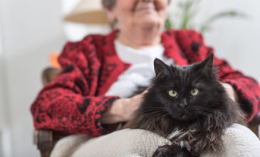 Το κλάμα της γάτας κινητοποίησε τους γείτονες για τον θάνατο 62χρονης
