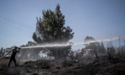 Μαραθώνας: Ξέσπασε φωτιά σε δασική έκταση στην περιοχή Αγναντερό