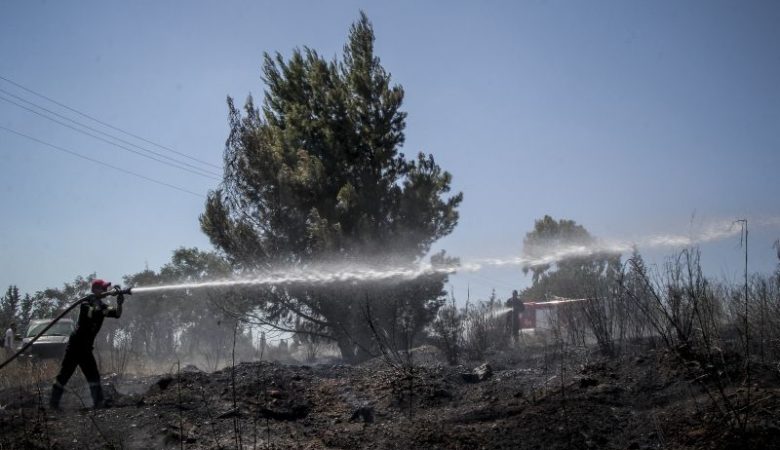 Μεγάλη φωτιά στα Μέγαρα: Οι φλόγες πάνε προς Πευκενέα και πλησιάζουν το Αλεποχώρι – Απειλούν σπίτια στη Ζάχουλη