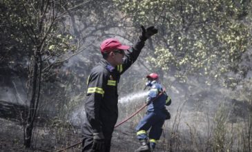 Πολύ υψηλός κίνδυνος πυρκαγιάς σε Εύβοια και Αττική τη Δευτέρα