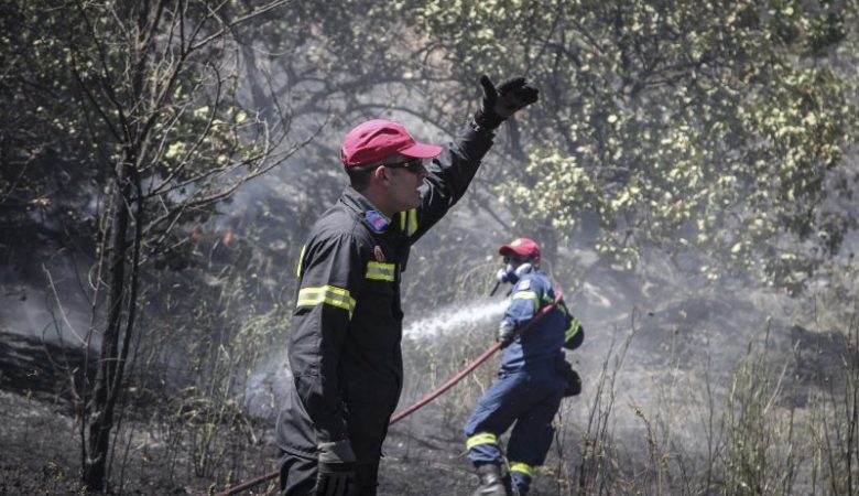 Υπό μερικό έλεγχο η πυρκαγιά στο Καλαμίτσι Χαλκιδικής