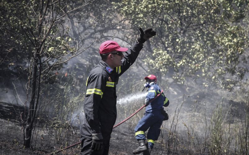 Πυροσβεστική: 44 πυρκαγιές εκδηλώθηκαν το τελευταίο 24ωρο