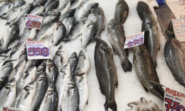 Κατασχέθηκαν περισσότερα από 100 κιλά ψάρια στον Πειραιά