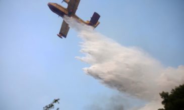 Βίντεο μέσα από το πιλοτήριο με την «βουτιά» καναντέρ στις φλόγες της Εύβοιας