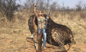Κυνηγός ποζάρει μπροστά σε νεκρή σπάνια μαύρη καμηλοπάρδαλη