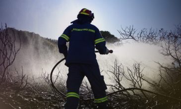 Στάχτη 700 στρέμματα από τη μεγάλη φωτιά στη Σπίνα Χανίων