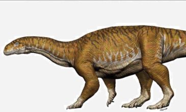 Γιγάντιος δεινόσαυρος αλλάζει όσα πίστευαν οι επιστήμονες για αυτούς
